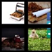 4 Pics 1 Word 7 Letters Answers Tobacco