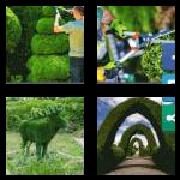 4 Pics 1 Word 7 Letters Answers Topiary