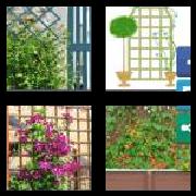 4 Pics 1 Word 7 Letters Answers Trellis
