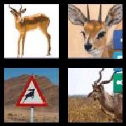 4 Pics 1 Word 8 Letters Answers Antelope