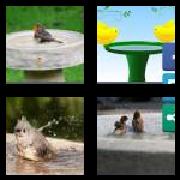 4 Pics 1 Word 8 Letters Answers Birdbath