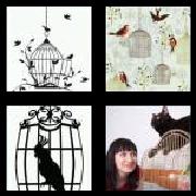 4 Pics 1 Word 8 Letters Answers Birdcage