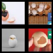 4 Pics 1 Word 8 Letters Answers Eggshell