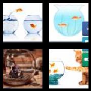 4 Pics 1 Word 8 Letters Answers Fishbowl