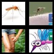 4 Pics 1 Word 8 Letters Answers Mosquito