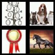 4 Pics 1 Word 8 Letters Answers Pedigree