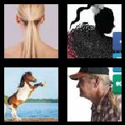 4 Pics 1 Word 8 Letters Answers Ponytail