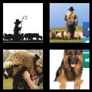 4 Pics 1 Word 8 Letters Answers Shepherd