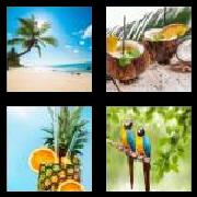 4 Pics 1 Word 8 Letters Answers Tropical