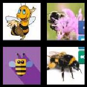 4 Pics 1 Word 9 Letters Answers Bumblebee