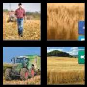 4 Pics 1 Word 9 Letters Answers Cornfield