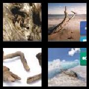 4 Pics 1 Word 9 Letters Answers Driftwood