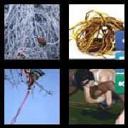 4 Pics 1 Word 9 Letters Answers Entangled