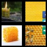 4 Pics 1 Word 9 Letters Answers Honeycomb